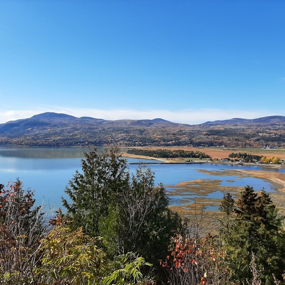 Meet your Posher, Salamander - Picture 1 of 1